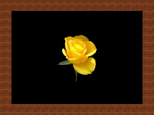 394781 (a): :1024x768